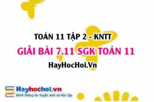 Bài 7.11 SGK Toán 11 Tập 2 Kết nối tri thức